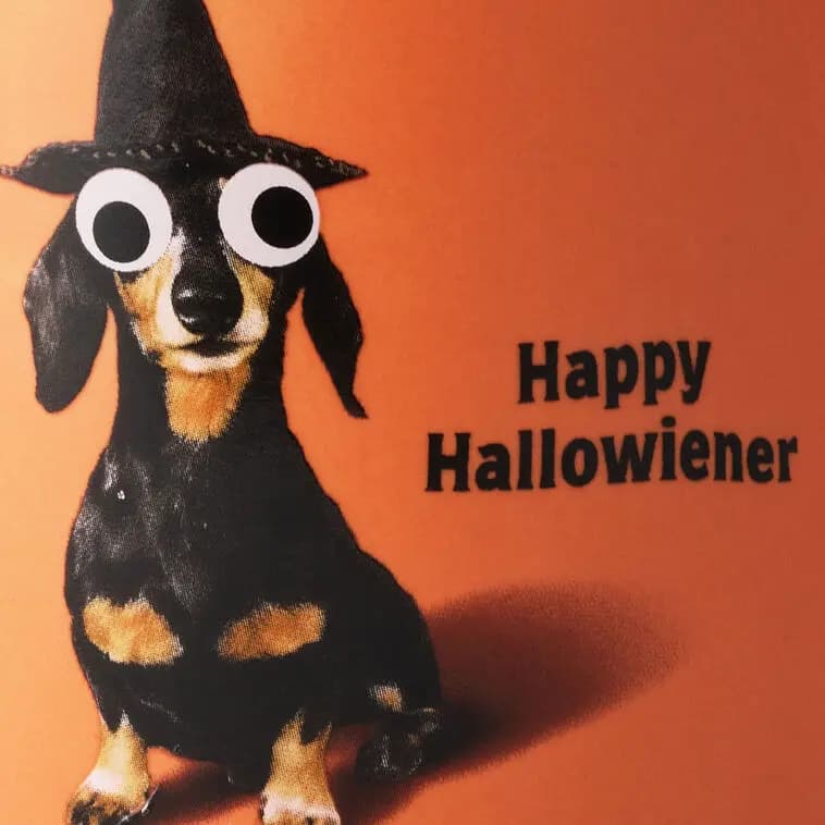 Happy Hallowiener Mug, 16 oz. [Happy Hallowiener, 5.75'' W x 4'' H x 3.75'' D, Ceramic., Holds 16 oz.]