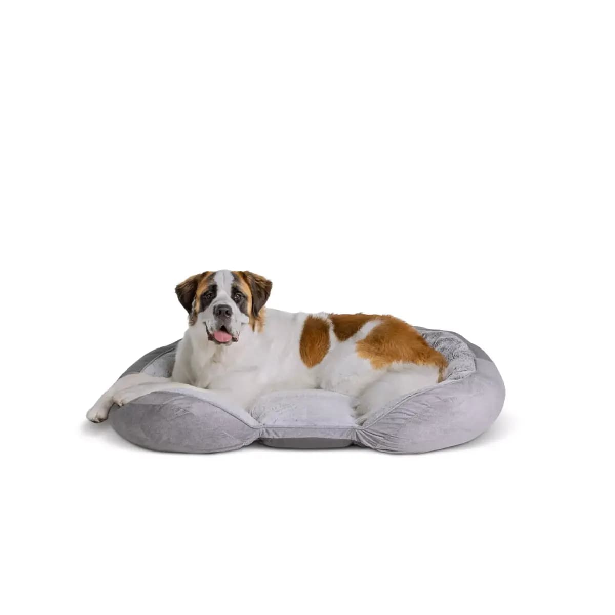 Top Paw® Orthopedic Grey Lounger Dog Bed, Large, Extra Large, 30Lx38W, 38Lx48W [Includes 1 Bed, Intended Pet(s) Dogs, Color Grey, Product Dimensions 38 in L x 48 in W x 10 in H (96