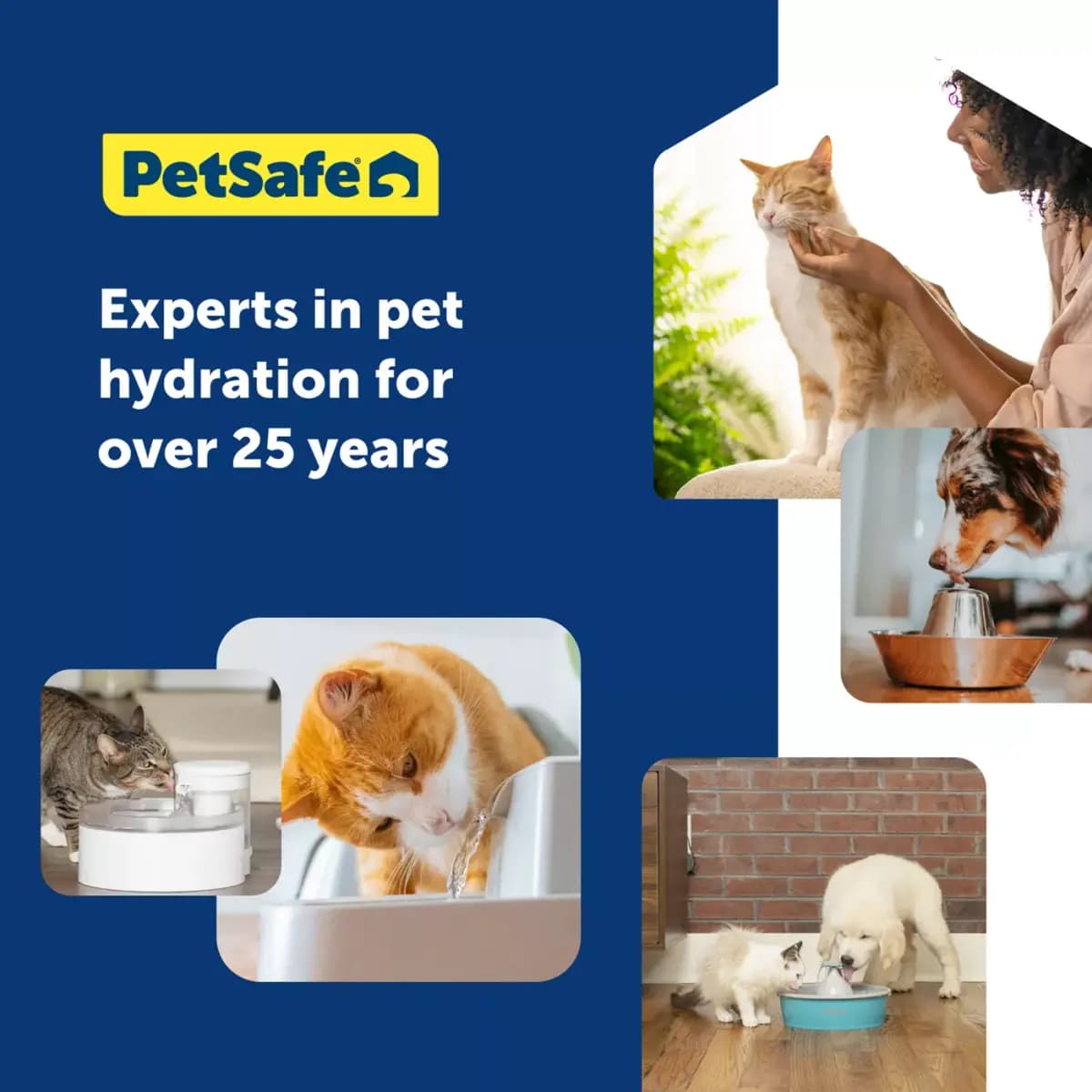 PetSafe® Ion-X Pet Fountain Filters - 4-Pack - Dual Filtration for Cleaner and Fresher Water [Intended Pet(s) Dog, Cat, Material(s) Carbon, Color Black, White, Product Dimensions 6