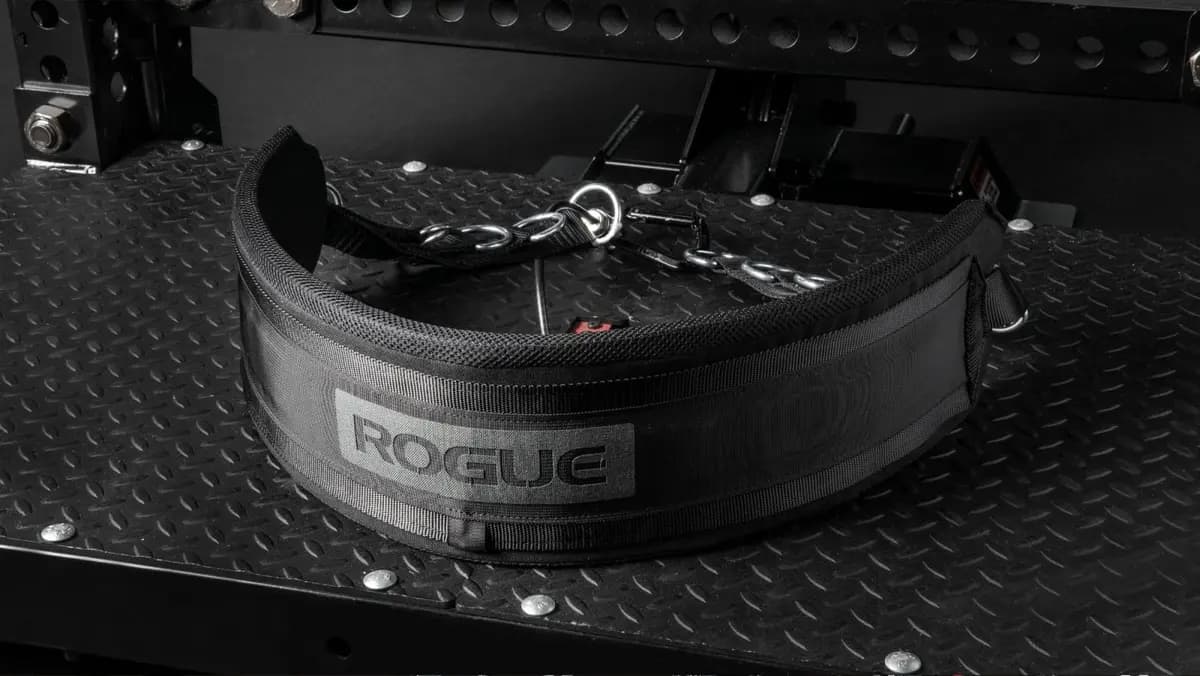 Rogue Fitness Rogue Multi Belt [Black, Yes, 2LB]