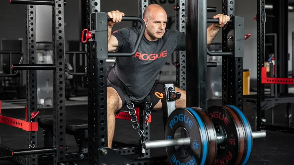 Rogue Fitness Rogue Multi Belt [Black, Yes, 2LB]