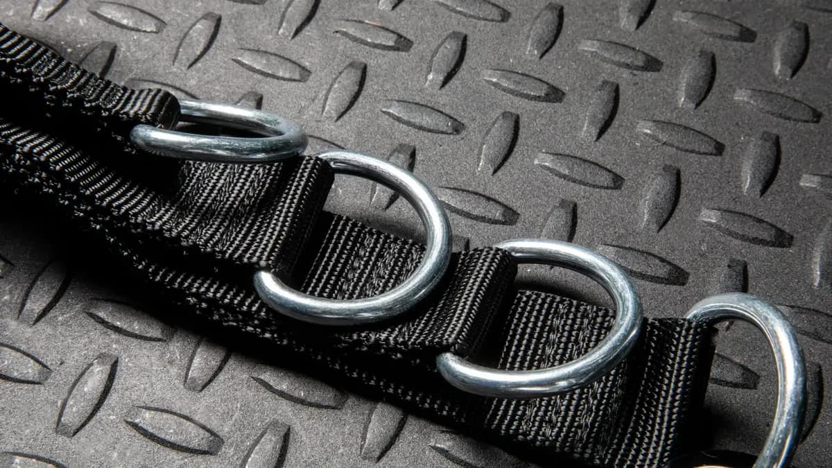 Rogue Fitness Rogue Multi Belt [Black, Yes, 2LB]