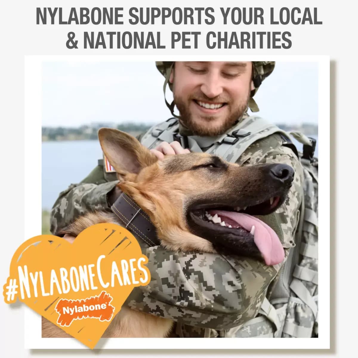 Nylabone® Puppy Teething Keys Chew Dog Toy, Bacon Flavor [Includes 1 Toy, Intended For Dog, Dimensions 4.06 in L x 1.56 in W x 0.25 in H, Color Yellow]