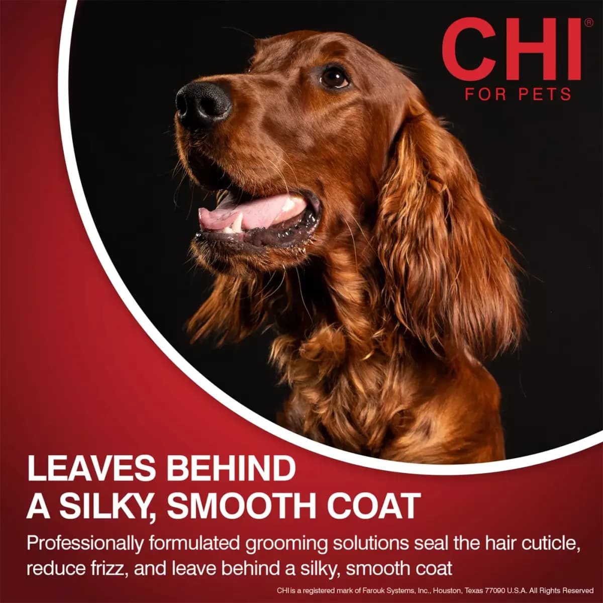 CHI® Oatmeal Dog Conditioner for Dry Skin - 6 oz [Intended For All dogs, Includes 6 Fl oz bottle of dog conditioner, Health Consideration Skin & Coat, Use Indoor and Outdoor use]