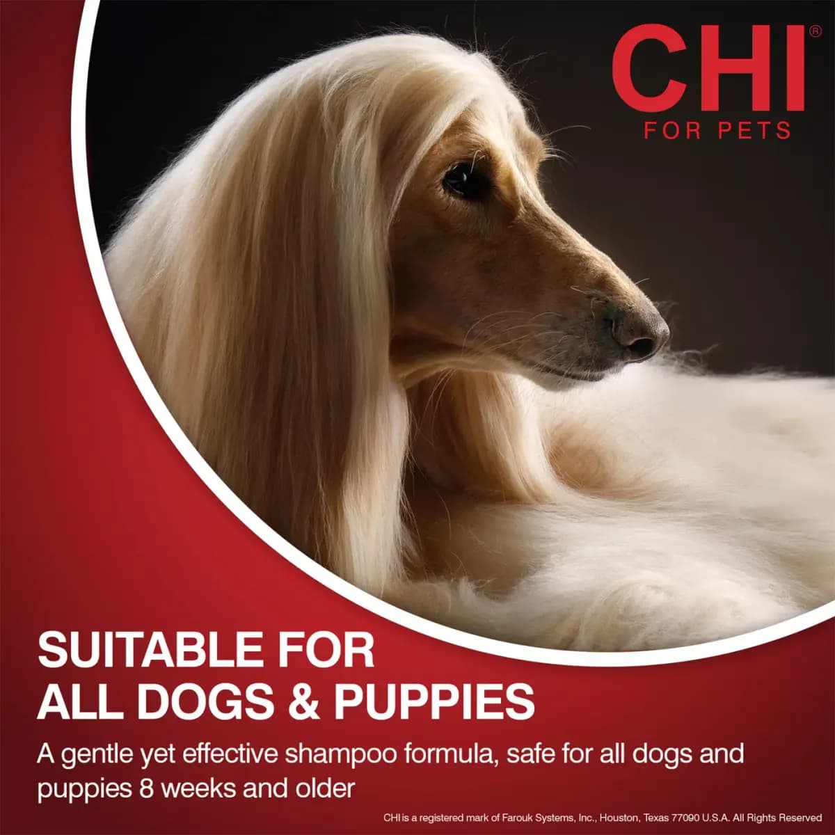 CHI® Oatmeal Dog Conditioner for Dry Skin - 6 oz [Intended For All dogs, Includes 6 Fl oz bottle of dog conditioner, Health Consideration Skin & Coat, Use Indoor and Outdoor use]