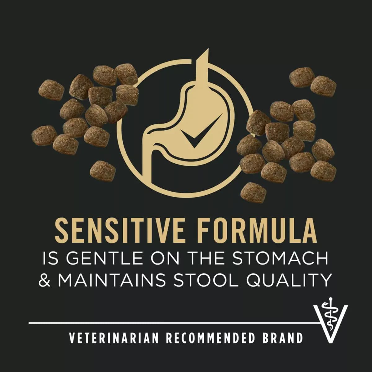 Pro Plan Sensitive Skin & Stomach Formula Purina Pro Plan Sensitive Skin and Stomach Dry Dog Food Senior Adult 7+ Salmon and Rice Formula [Item Number 5308566, Brand Pro Plan Sensi