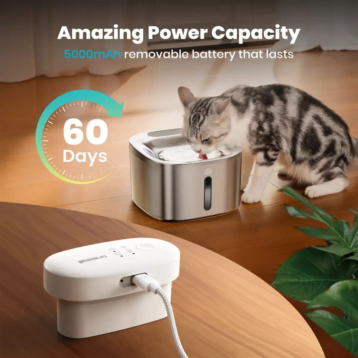 Oneisall 3.5 Liter Cordless Stainless Steel Cat Water Fountain W/ 60 Day Power & 3-Layer Filtration [Intended for Dog, Cat, Dimensions 7.87 in x 7.87 in x 6.02 in, Total Weight 2 l