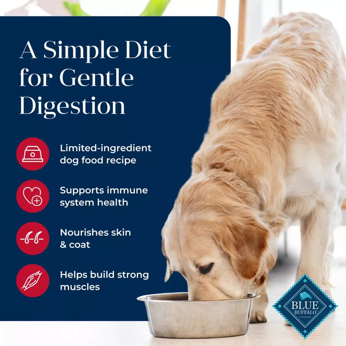 Blue Buffalo Basics Skin & Stomach Care, Salmon & Potato Dry Dog Food, Grain Free & Chicken Free [Species Dog, Brand Blue Buffalo, Food Type Kibble, Breed Size All]
