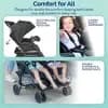 Kolcraft Cloud Premier Double Side by Side Stroller - Black: 5-Point Harness, Folds for Easy Transport, Steel Frame [Dimensions (Overall) 38 Inches (H) x 30 Inches (W) x 32 Inche, 