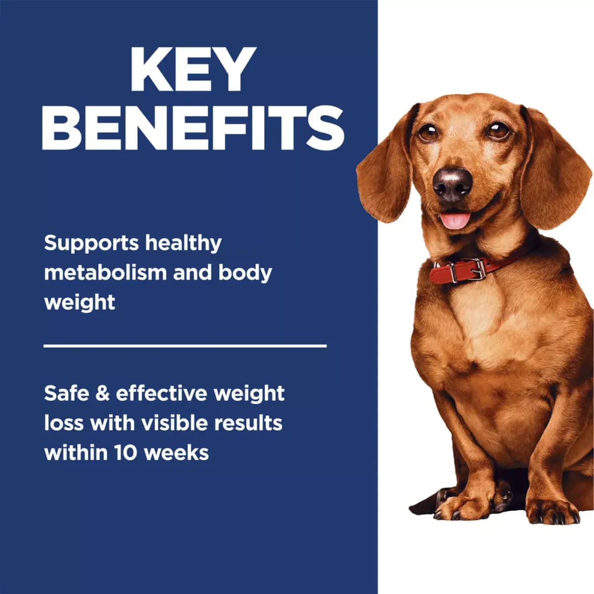 Hill's® Science Diet® Perfect Weight Small & Mini Adult Dry Dog Food - Chicken Recipe [Species Canine, Brand Science Diet, Food Type Small kibble, Breed Size Canine| Adult 7+|Small