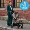 Ingenuity 3D Suite Full-Size Stroller, Reversible Seat, One-Hand Fold, Car Seat Compatible - Beige: 5-Point Harness, 50 lbs Capacity, Metal Frame [Dimensions (Overall) 42.1 Inches 