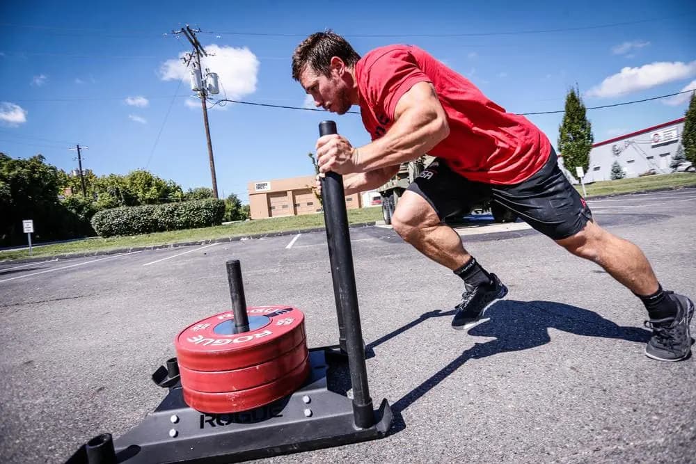 Rogue Fitness Rogue Echo Dog Sled [Rogue Fitness, Yes, 87LB, 450+LB weight capacity]
