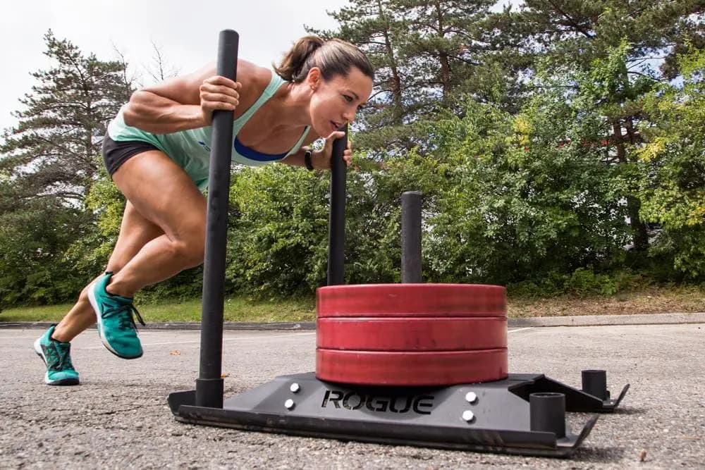 Rogue Fitness Rogue Echo Dog Sled [Rogue Fitness, Yes, 87LB, 450+LB weight capacity]