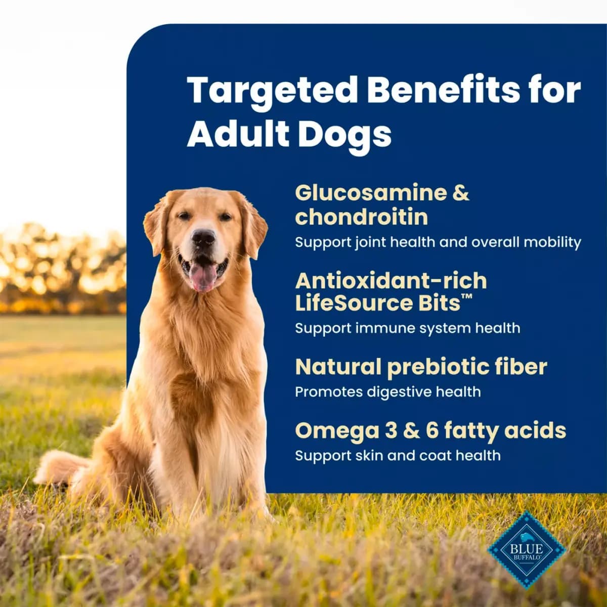 Blue Buffalo Life Protection Formula Chicken & Brown Rice Adult Dry Dog Food [Species Dog, Brand Blue Buffalo, Brand Blue Buffalo Life Protection Formula Adu, Food Type Kibble]