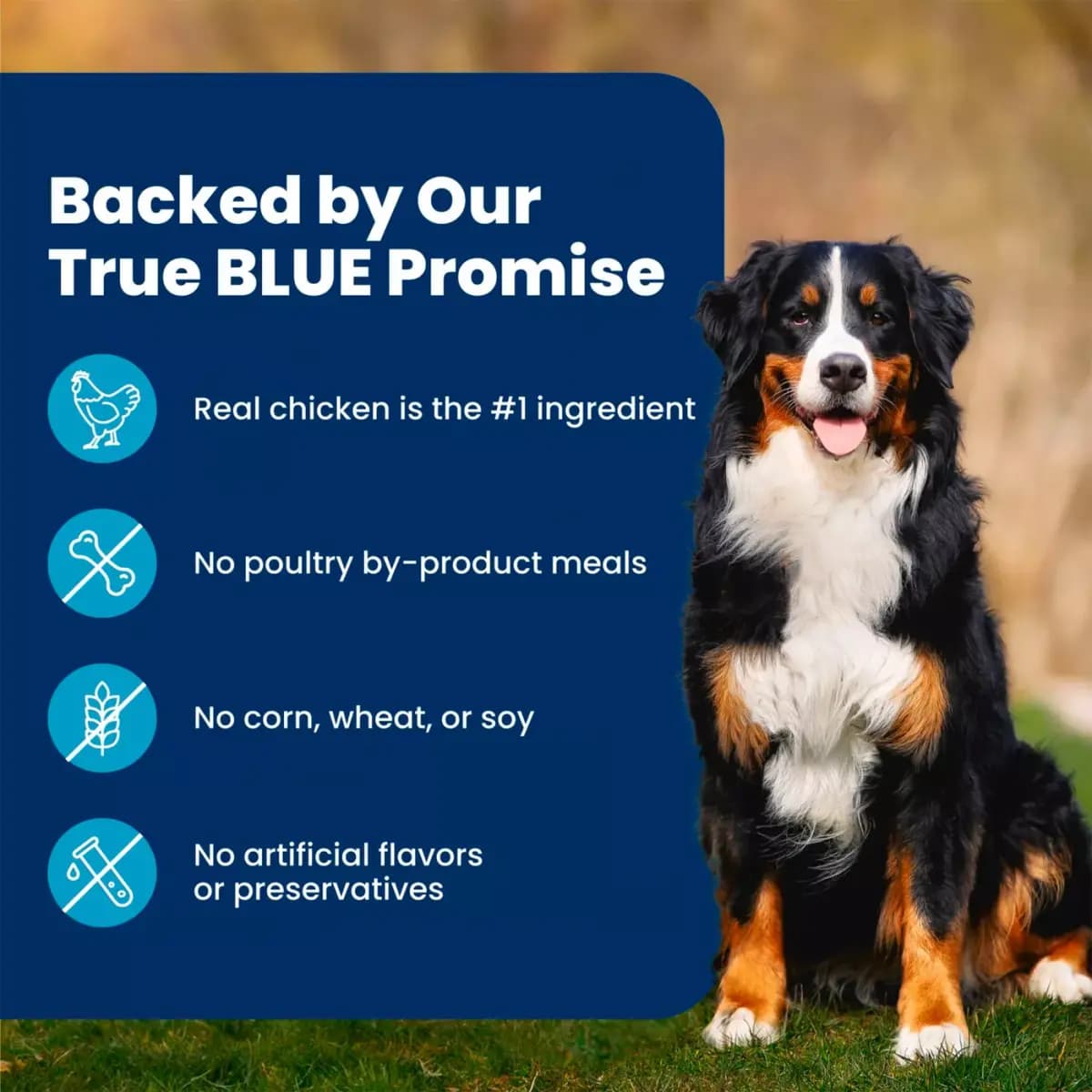 Blue Buffalo Life Protection Formula Chicken & Brown Rice Adult Dry Dog Food [Species Dog, Brand Blue Buffalo, Brand Blue Buffalo Life Protection Formula Adu, Food Type Kibble]