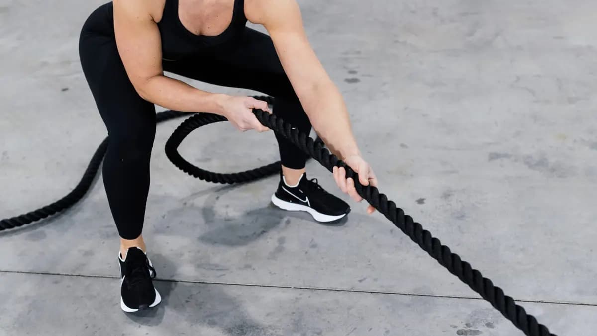 Torque Fitness Torque Fitness Tank Tow Rope [Black, No, 17LBS]