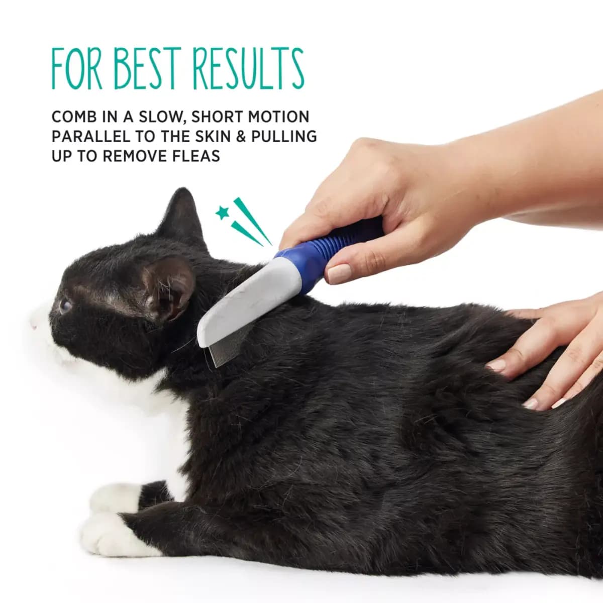 Whisker City® Pet Flea Comb [Brand Whisker City®, Includes 1 Flea Comb, Intended For Cats, Color Blue, Grey]