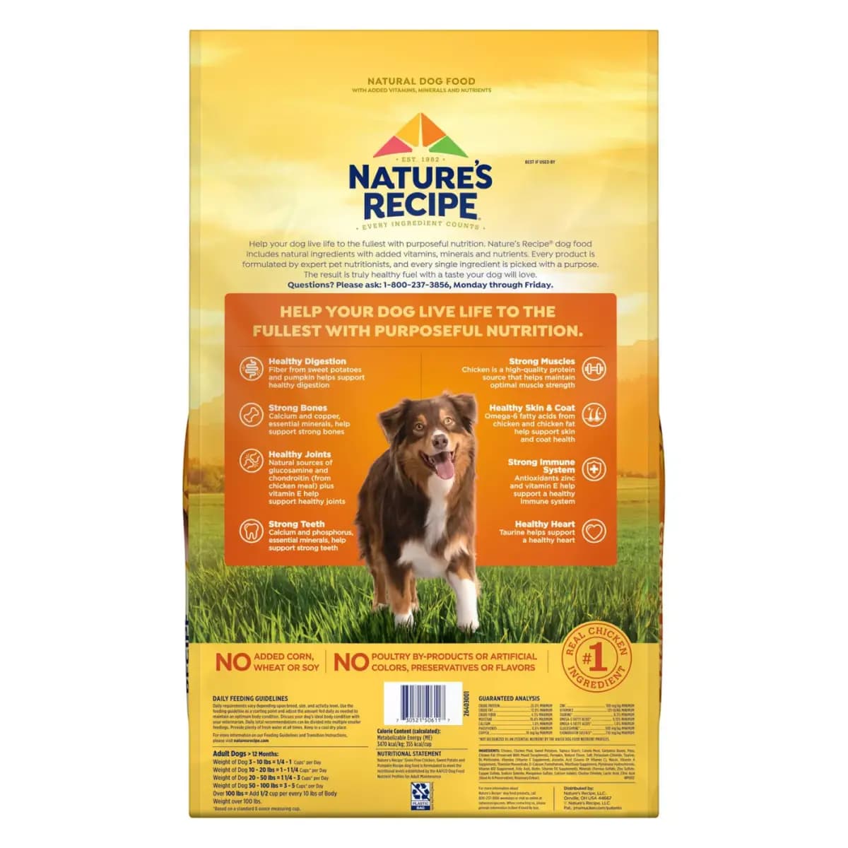 Nature's Recipe Adult Dry Dog Food - Chicken, Sweet Potato, Pumpkin [Species Dog, Brand Nature's Recipe, Food Type Kibble, Breed Size All Breeds]