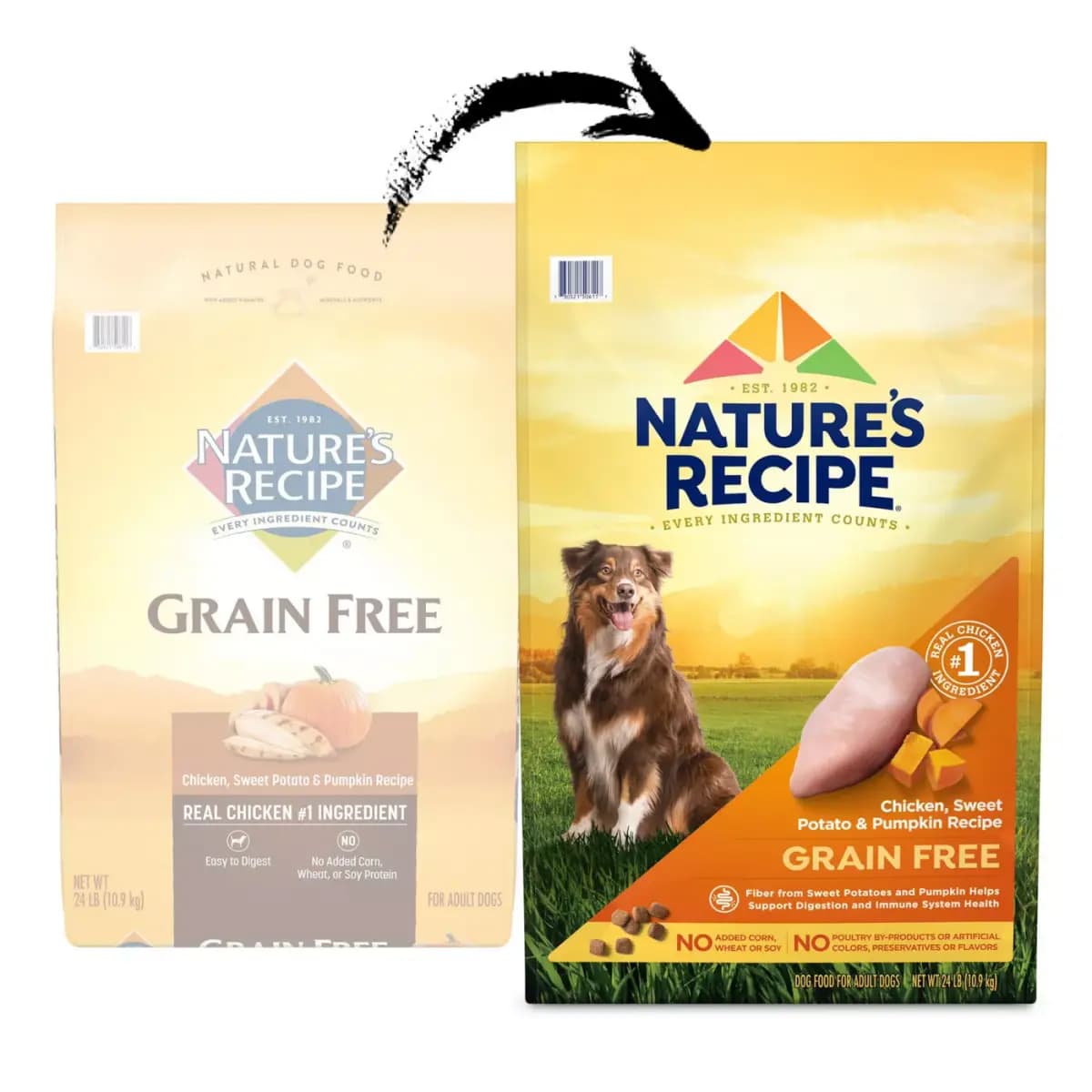 Nature's Recipe Adult Dry Dog Food - Chicken, Sweet Potato, Pumpkin [Species Dog, Brand Nature's Recipe, Food Type Kibble, Breed Size All Breeds]