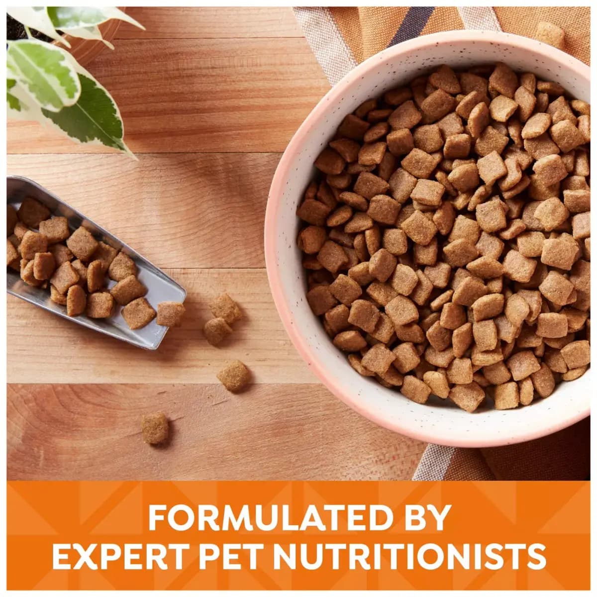 Nature's Recipe Adult Dry Dog Food - Chicken, Sweet Potato, Pumpkin [Species Dog, Brand Nature's Recipe, Food Type Kibble, Breed Size All Breeds]