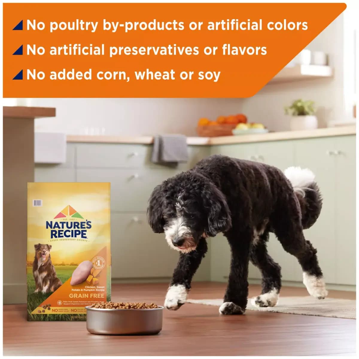 Nature's Recipe Adult Dry Dog Food - Chicken, Sweet Potato, Pumpkin [Species Dog, Brand Nature's Recipe, Food Type Kibble, Breed Size All Breeds]
