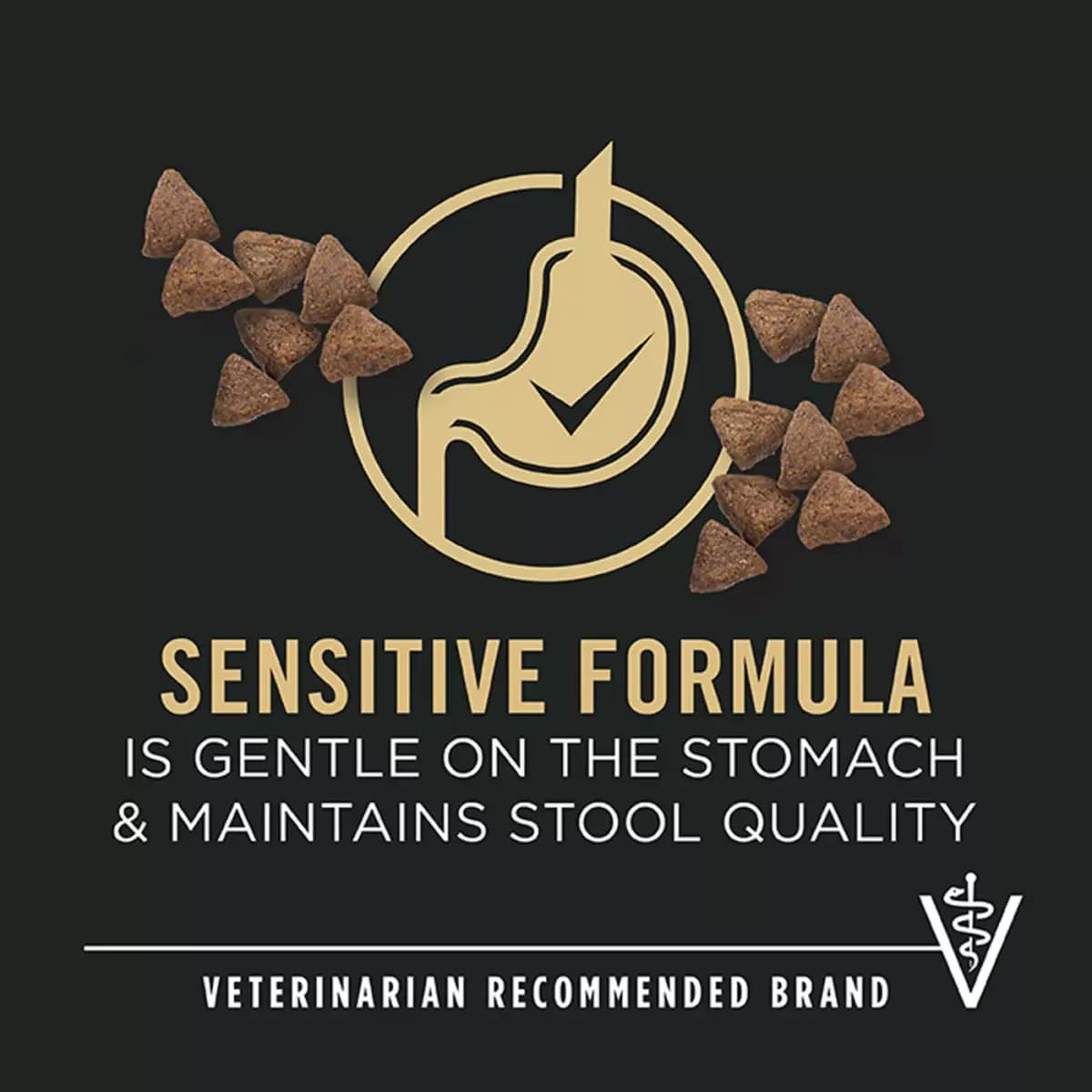Pro Plan Sensitive Skin & Stomach Formula Purina Pro Plan Sensitive Skin and Stomach Dry Dog Food Small Breed, Adult Salmon & Rice Formula [Brand Pro Plan Sensitive Skin & Stomach 