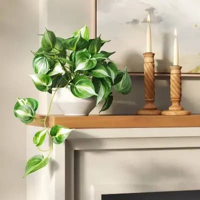 Threshold Trailing Pothos Plant - Thresholdâ„¢ [Polyester, Ceramic, 3.5 Inches (H) x 6 Inches (W)]
