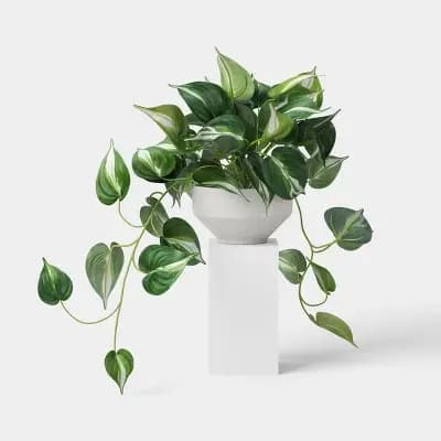 Threshold Trailing Pothos Plant - Thresholdâ„¢ [Polyester, Ceramic, 3.5 Inches (H) x 6 Inches (W)]