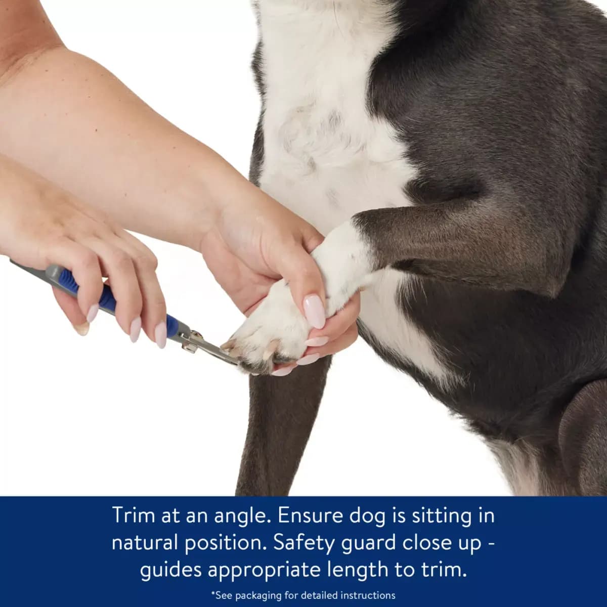 Top Paw® Soft Grip Dog Nail Clipper [Brand Top Paw, Includes 1 Clipper, Intended Pet(s) Medium to Large Dogs, Color Blue, Grey, Silver]