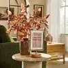 Hearth & Hand with Magnolia 4"x6" Brass Frame on Wood Pedestal - Hearth & Hand™ with Magnolia [10.25 Inches (L), 6.5 Inches (W), 1.34 Pounds, Steel (Frame)]