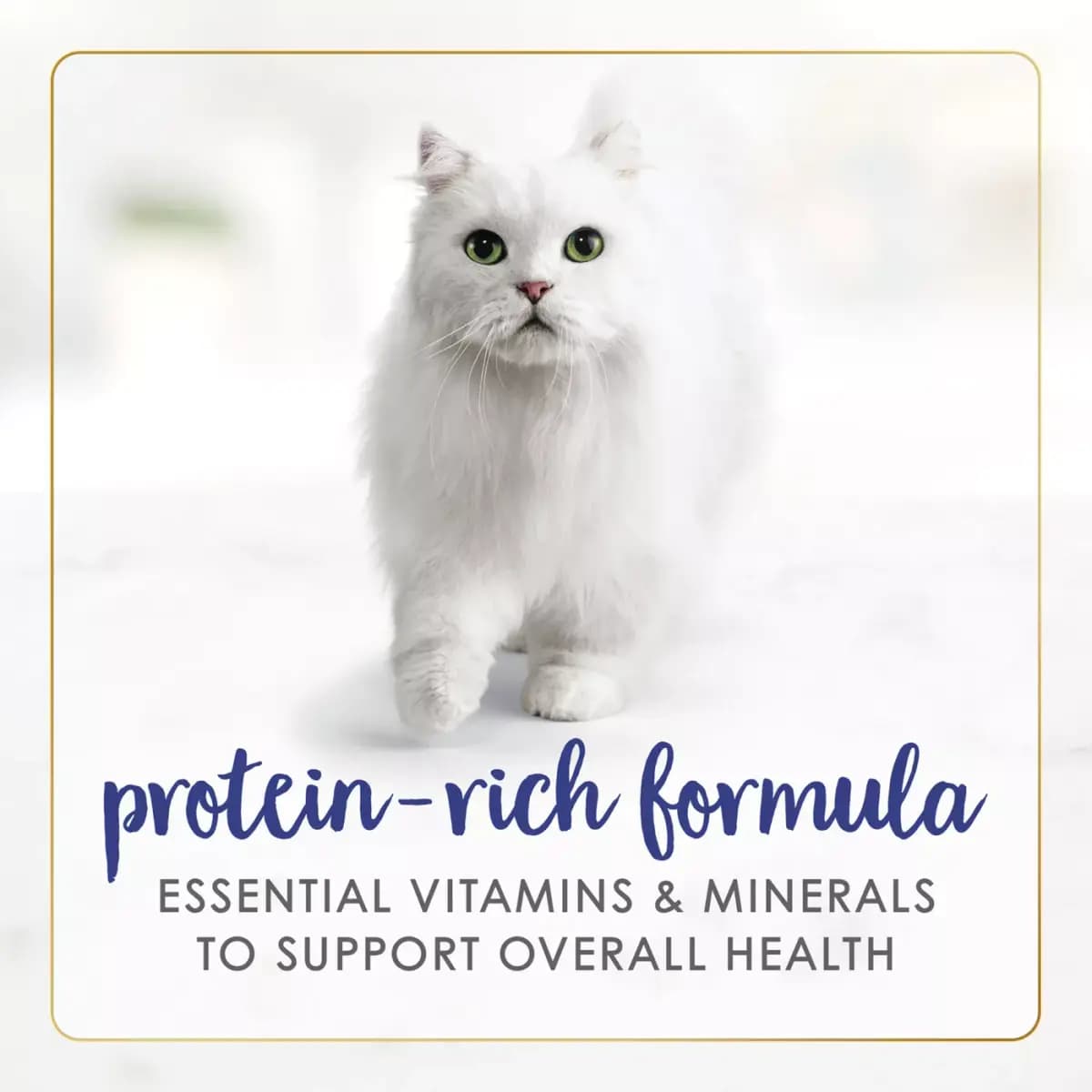 Fancy Feast Flaked Fancy Feast® All Life Stages Flaked Wet Cat Food - 3 Oz [Features & Benefits Wet food for cats made without artificia, Item Number 1221553, Brand Fancy Feast Fla