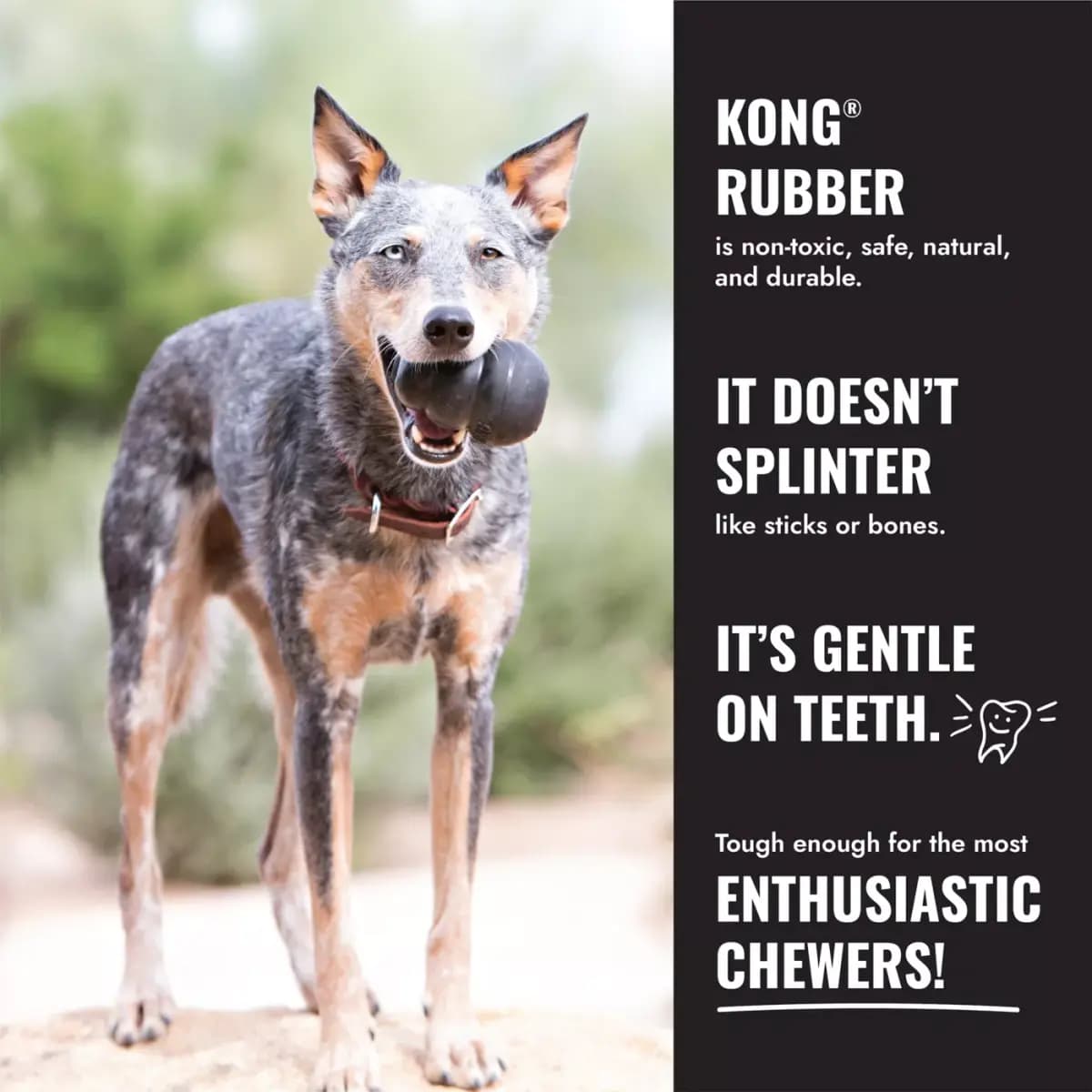 KONG® Tires Heavy-Duty Chew Dog Toy [Description and Overview KONG Tires is a durable tire chew design, Product Brand & Name KONG® Extreme Tires Md/Lg, Intended for Dog, Dimensions