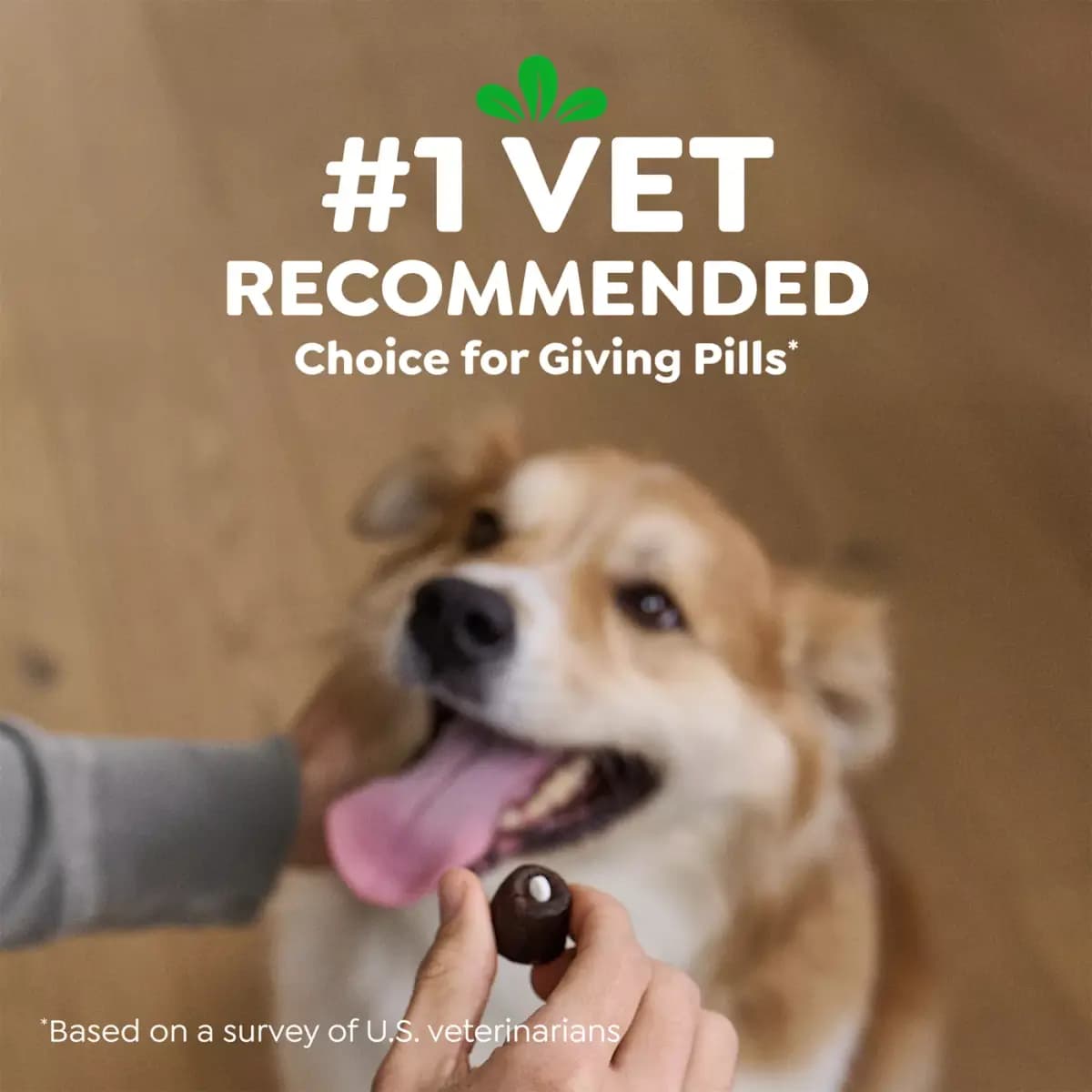 Greenies Pill Pockets for Dogs, Canine Treats - Capsule, Peanut Butter, 7.9 or 15.9 oz, 30 or 60 Ct [Description and Overview Turn Pill Time Into Treat Time! Greenies, Product Bran