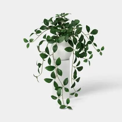 Threshold 8.5" Artificial Dark Trailing Leaf Plant - Thresholdâ„¢ [Polyester, Ceramic, 4.25 Inches (H) x 4 Inches (W)]