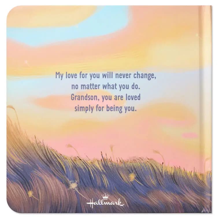 Grandson You Are Loved Board Book [Dimensions 7.25'' W x 7.25'' H x 0.5'' D, Material Paper., Count 1, Genre Juvenile Fiction]