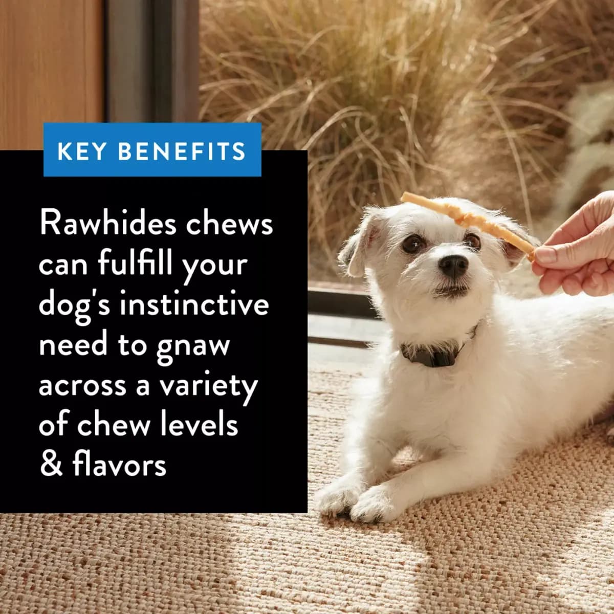 Dentley's® Gourmet 5" Retriever Sticks Dog Chew - Chicken [Key Benefits For all chewers, Item Number 5276237, Brand Dentley's, Food Type Wrapped Rawhide Stick]