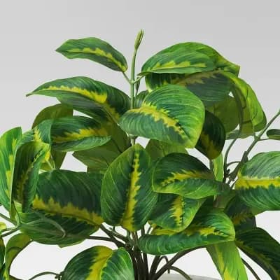 Room Essentials Trailing Prayer Artificial Plant - Room Essentialsâ„¢ [Plastic, Melamine, 4.5 Inches (H) x 3.3 Inches (W)]