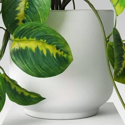 Room Essentials Trailing Prayer Artificial Plant - Room Essentialsâ„¢ [Plastic, Melamine, 4.5 Inches (H) x 3.3 Inches (W)]