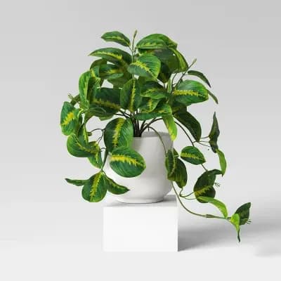 Room Essentials Trailing Prayer Artificial Plant - Room Essentialsâ„¢ [Plastic, Melamine, 4.5 Inches (H) x 3.3 Inches (W)]