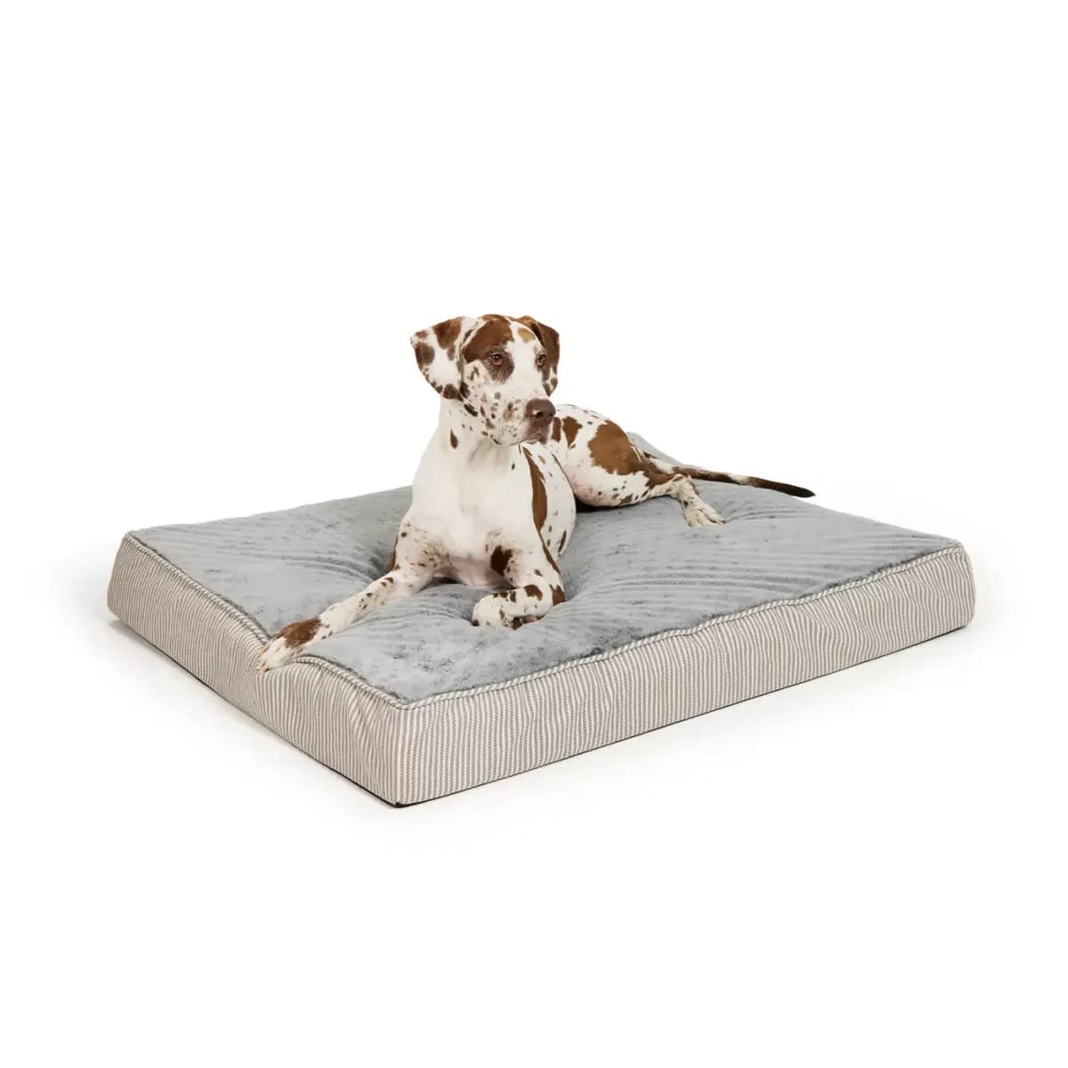 Top Paw® Orthopedic Mattress Dog Bed, Brown/Grey/Tan, Medium/Large/XLarge, 28Lx22W, 38Lx30W, 48Lx38 [Brand Top Paw®, Includes 1 Orthopedic Mattress, Color Grey, Dimensions 48 IN L