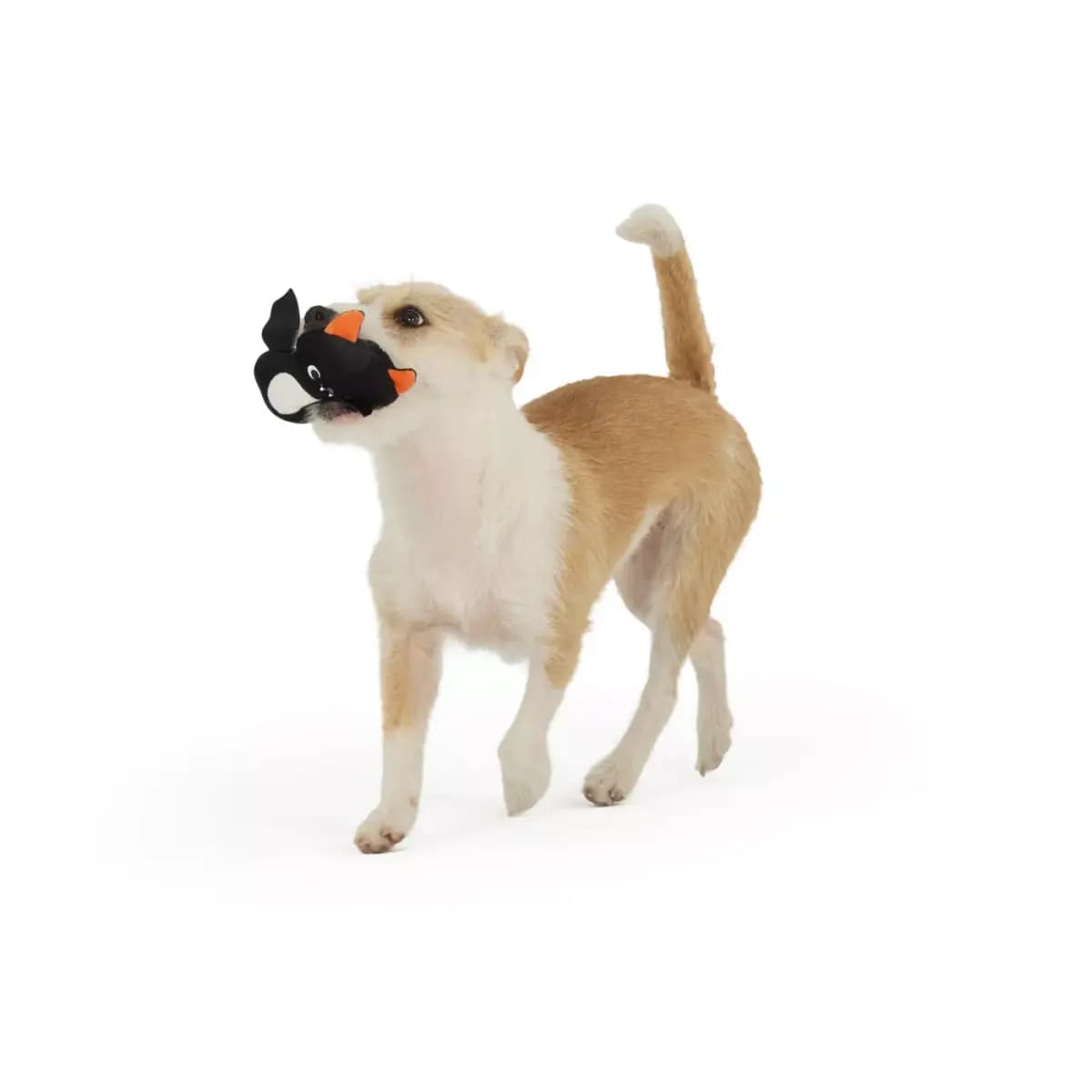 Thrills & Chills™ Halloween Plush Bat Dog Toy [Brand Thrills & Chills®, Includes 1 Plush Toy, Intended For Dogs, Activity Fetch, Play, Noisemaking]