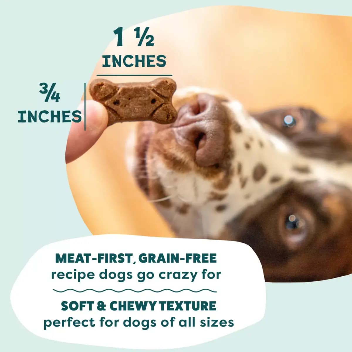 Shameless Pets Meat Me At The Feast, Soft & Meaty Dog Treats - Turkey 8 oz [Features & Benefits – #1 ingredient is Turkey: Because your, Species Dog, Brand Shameless Pets, Food Typ