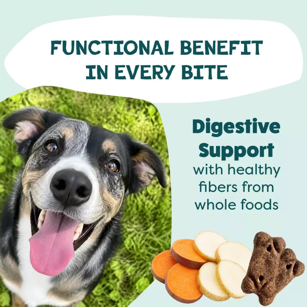 Shameless Pets Meat Me At The Feast, Soft & Meaty Dog Treats - Turkey 8 oz [Features & Benefits – #1 ingredient is Turkey: Because your, Species Dog, Brand Shameless Pets, Food Typ