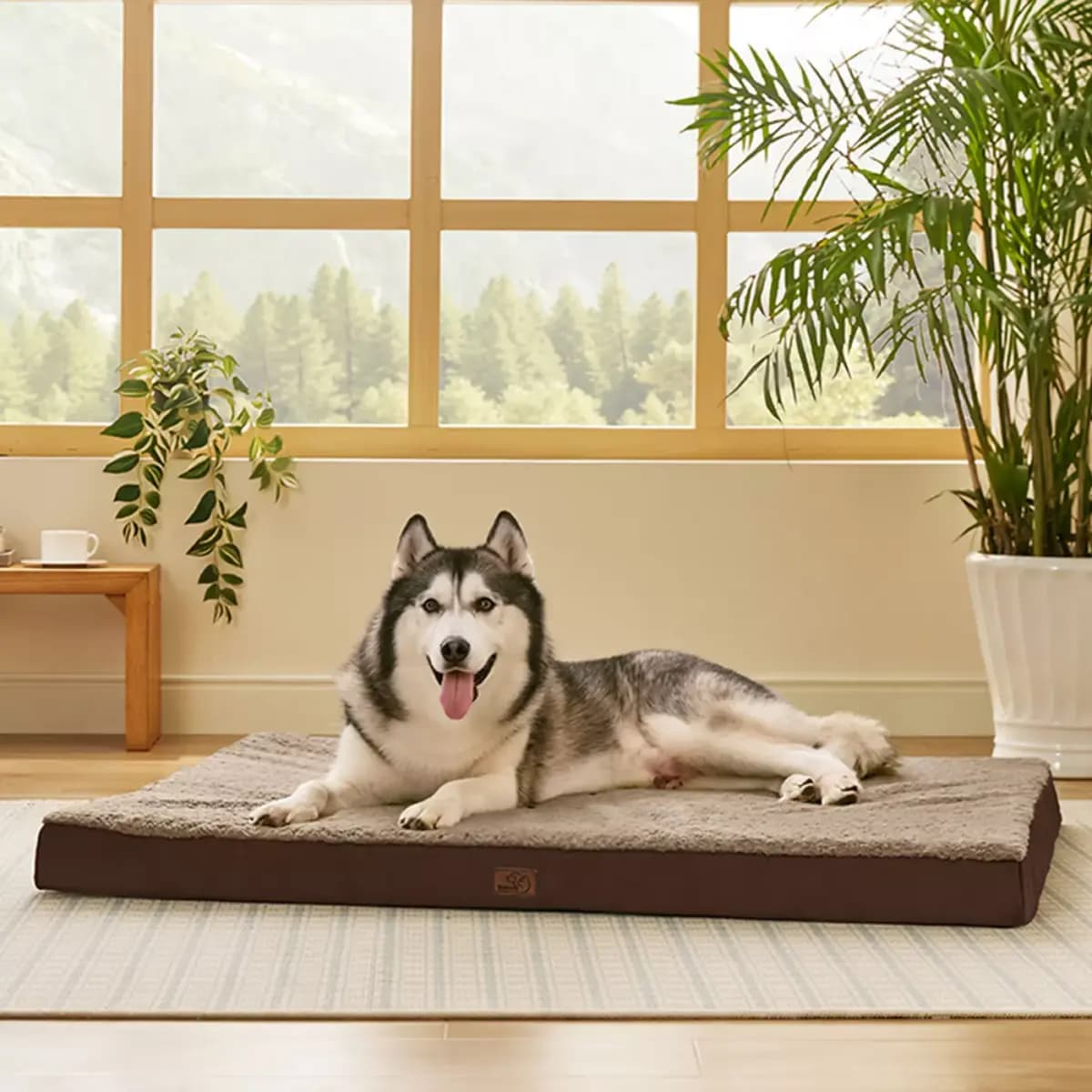 Bedsure® Orthopedic Waterproof Dog Bed with Sherpa & Oxford Fabric Removable Cover & Egg Crate Foam [Description and Overview The Bedsure classic pet bed mattress des, Product Bran