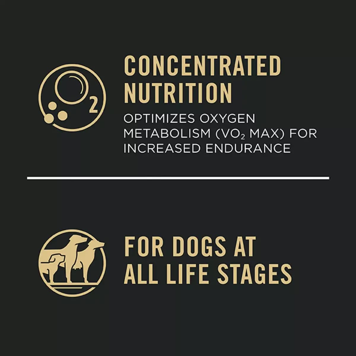 Pro Plan Performance 30/20 Purina Pro Plan High Protein Dog Food, Sport 30/20 Salmon and Rice Dry Dog Food Formula [Species Dog, Brand Pro Plan Performance 30/20, Food Type Crunchy