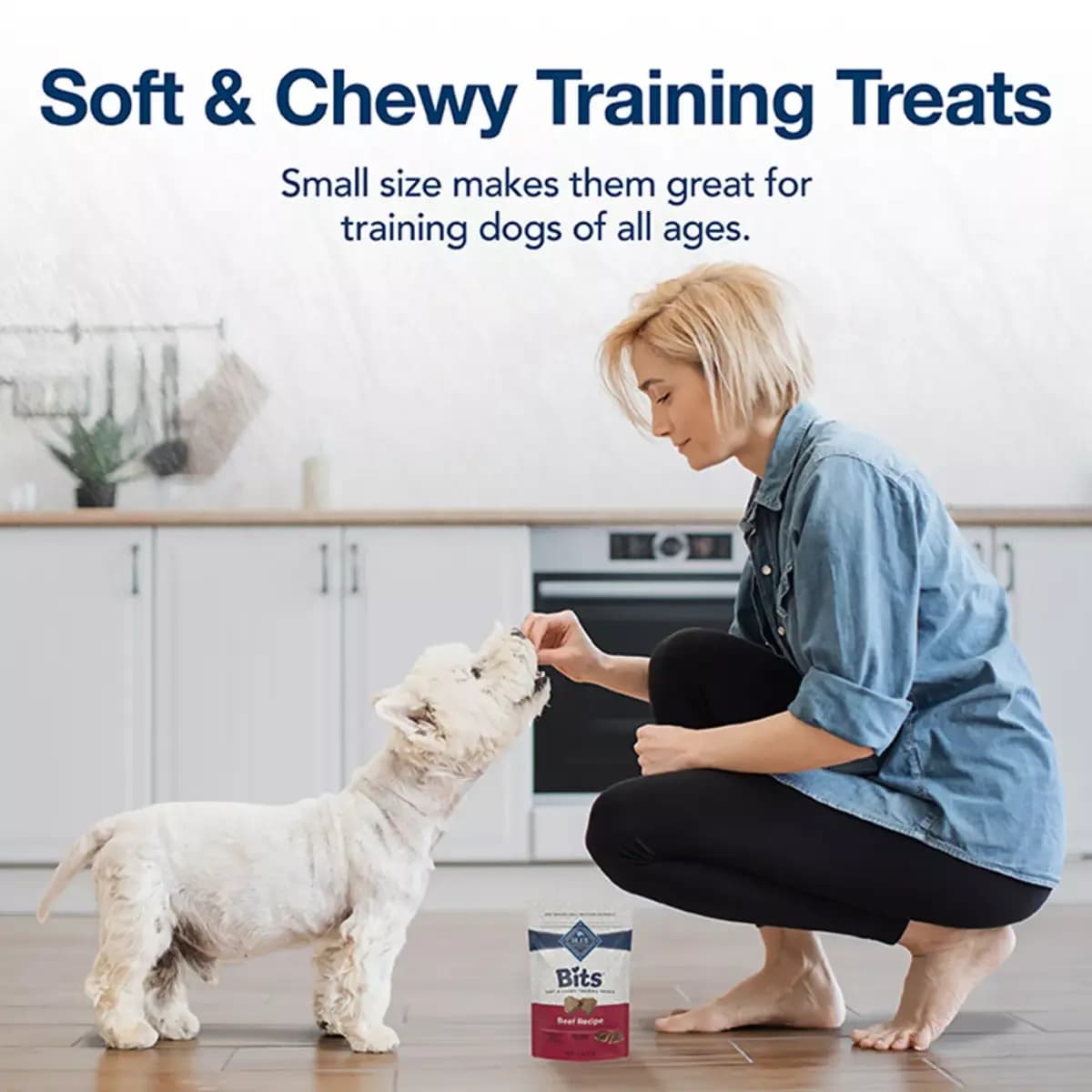 Blue Buffalo® Bits Soft & Chewy Training Treats - Beef Recipe, 4 oz [Food Type Dog Treat, Life Stage Puppy, Health Consideration Brain Development, Flavor Beef]