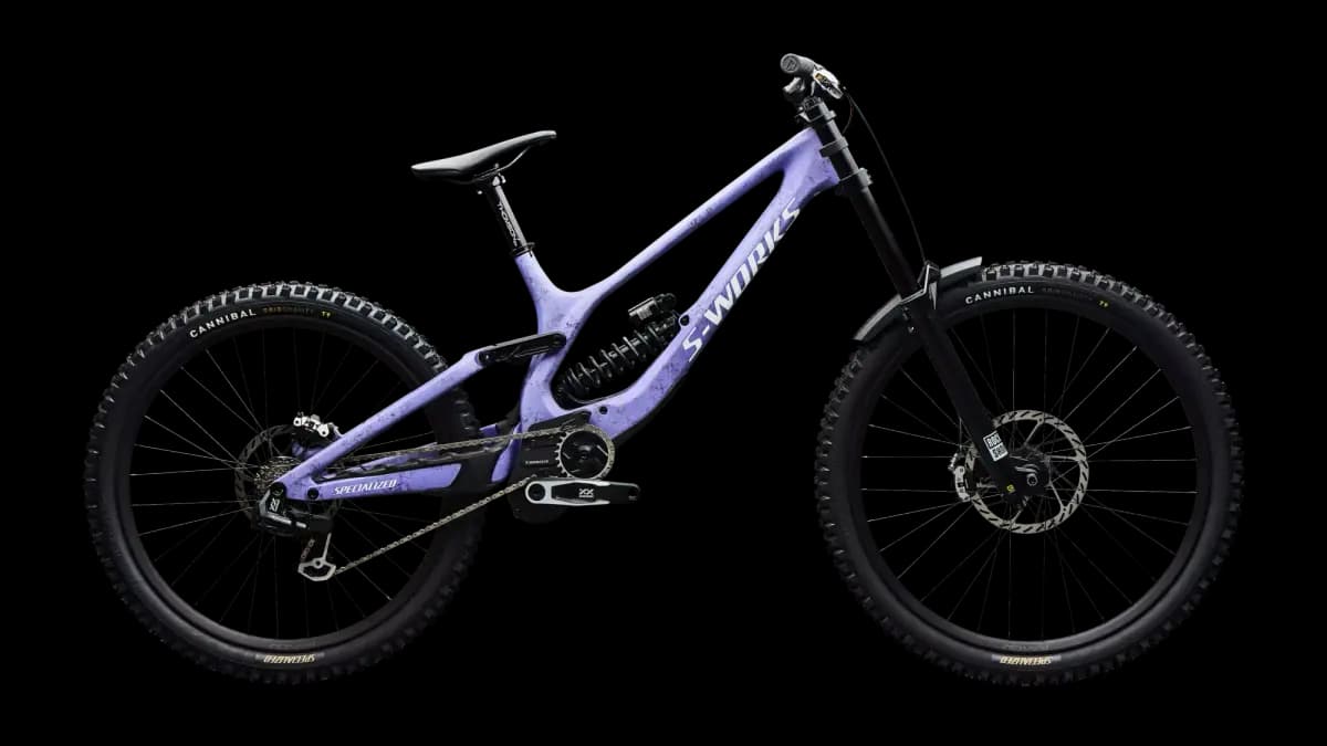 Specialized S-Works Demo 11 [200mm travel FACT 11m carbon frame with HighGear system, 165mm cranks, reach adjust headset cups, BB adjust, full internal cable routing, 148mm rear sp