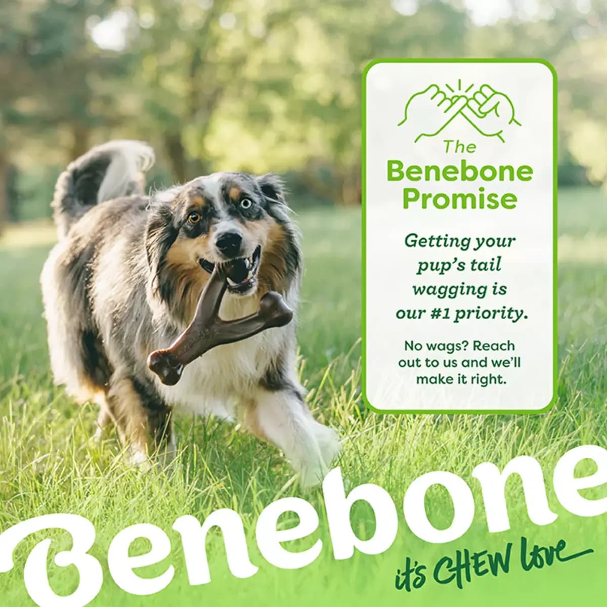 Benebones Benebone Wishbone Durable Dog Chew Toy, Bacon Flavored, Small [Includes 1 Chew Toy, Intended For Dog, Activity Chew, Color Brown]