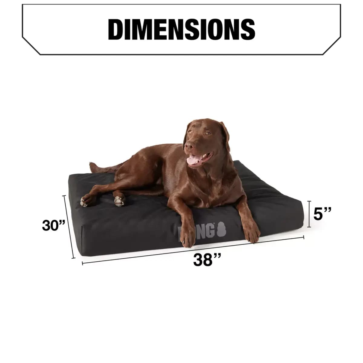 KONG® Orthopedic Durable Dog Bed with Water-Resistant Cover, Multiple Colors, 38L x 30W [Includes 1 Mattress, Intended For Dogs, Color Tan, Material High Performance Poly Ripstop O