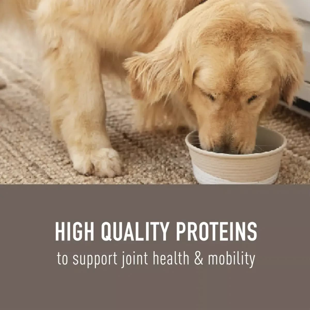 Simply Nourish Original Adult Dry Dog Food - Chicken & Brown Rice [Brand Simply Nourish®, Food Type Dry, Life Stage Adult, Flavor Chicken & Brown Rice]